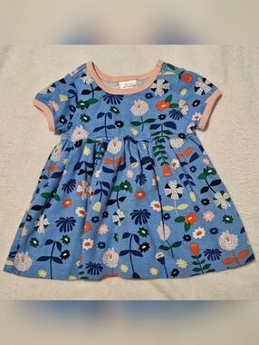 Hanna Andersson Light Blue Floral Dress with Pink Trim Size 3-6 Months